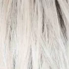 White Rose Blond R